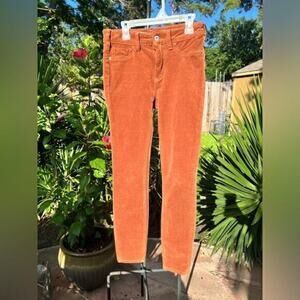 ▶️ ANTHROPOLOGIE ◀️ Pilcro High Rise Skinny Velour Corduroy Pants 25